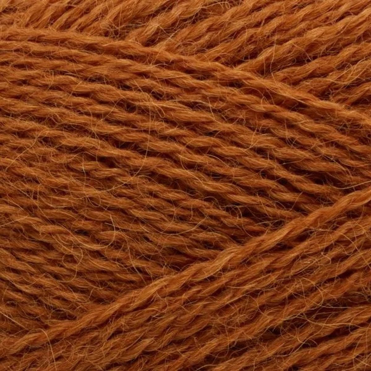 Alva - 366 Sugar Almond